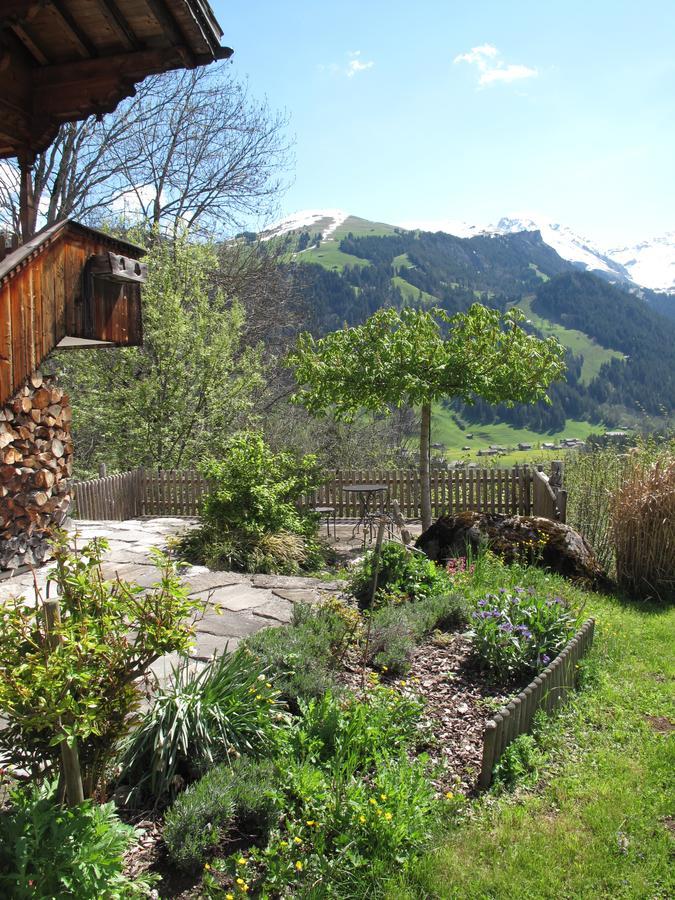 Bergluft Bed & Breakfast Lenk Luaran gambar