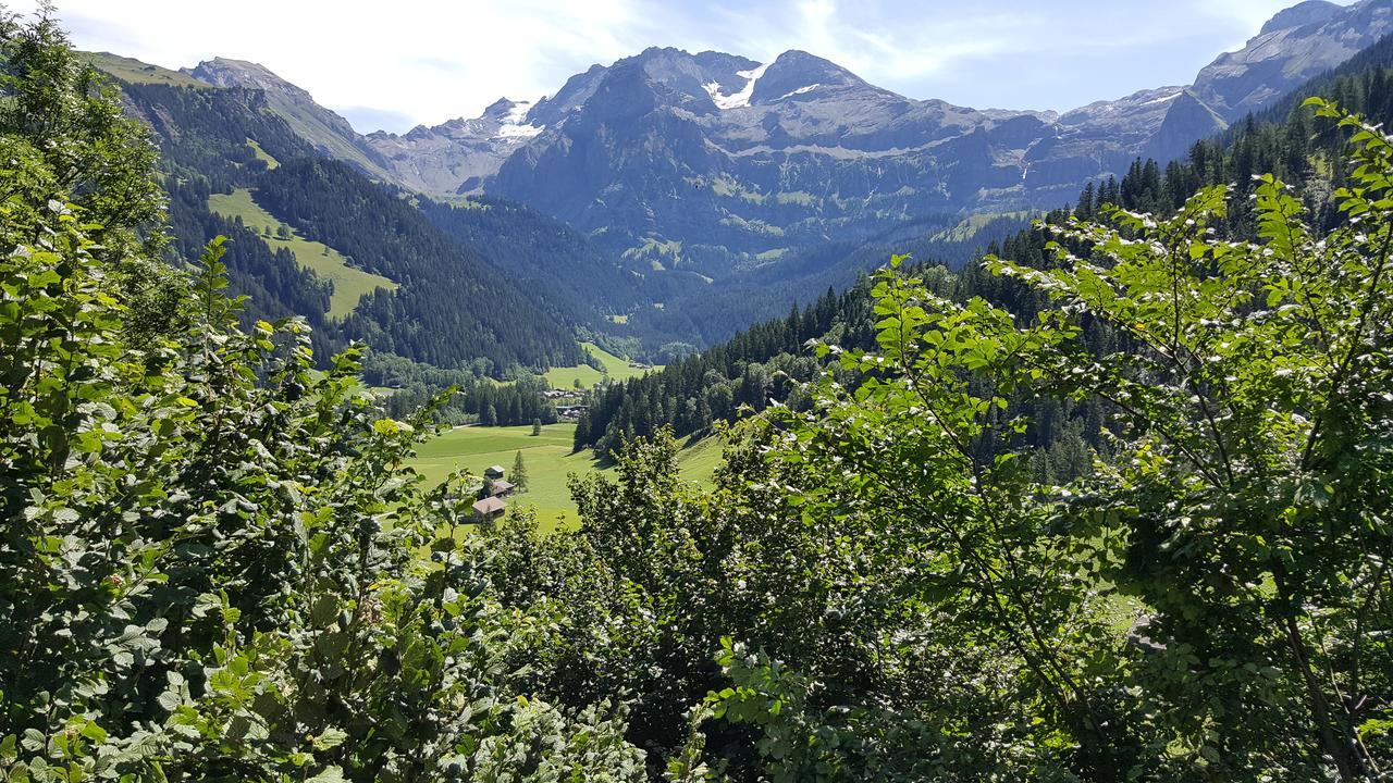 Bergluft Bed & Breakfast Lenk Luaran gambar